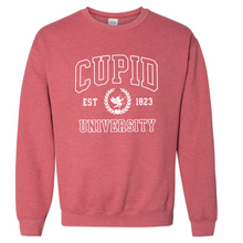 Load image into Gallery viewer, Cupid University Adult Fleece Sweatshirts
