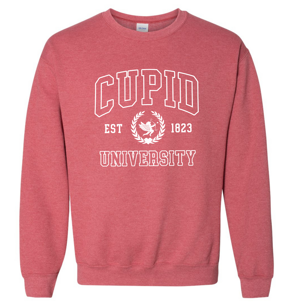 Cupid University Adult Fleece Sweatshirts